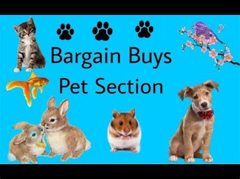 Bargain buys pet group - Hit JOIN NOW ☝ to be the first to get great deals on everything from toys, to treats, to gear, and beyond - we got you. Be Aware, admin are affiliated with Amazon & Chewy (as well as several other...